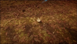 Tenali Rama - 20th December 2024